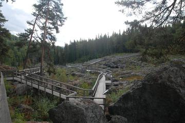Photo 35