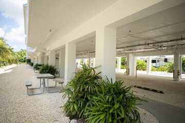 BBQ/picnic area