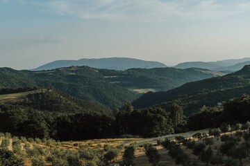 Land view from property