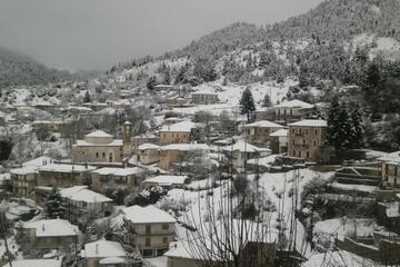 Photo 49