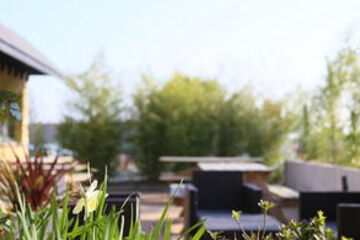Terrace or Patio