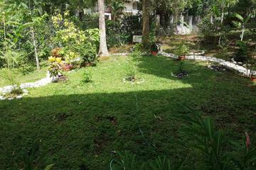 Photo 59