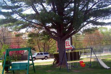 Photo 4