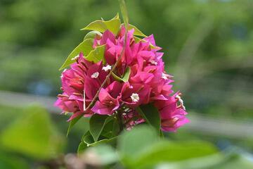 Photo 49