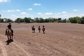 Horseback riding