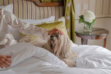 Pet-friendly