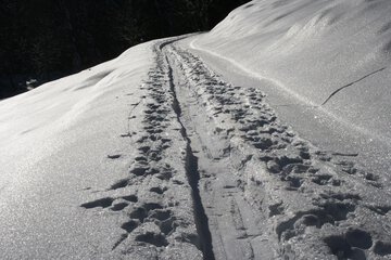 Snowshoeing