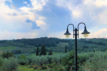 Land view from property