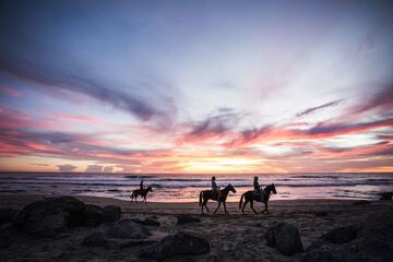 Horseback riding