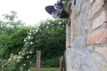 Photo 41