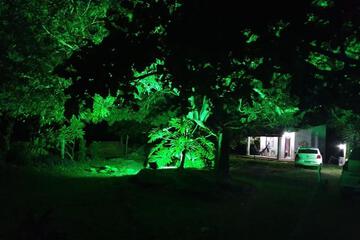 Photo 32