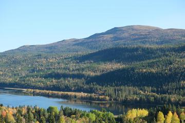 Photo 26