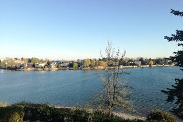 Lake view