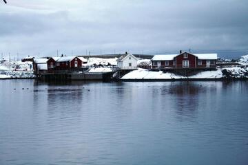 Photo 48