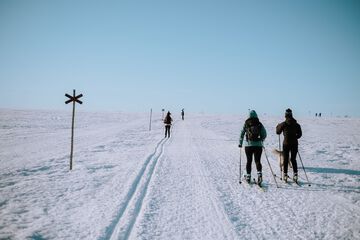 Skiing