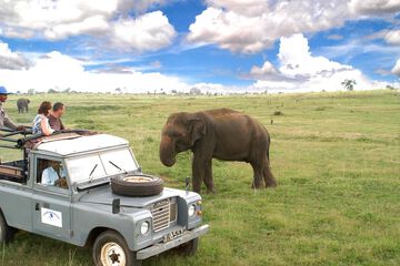 Ecotours