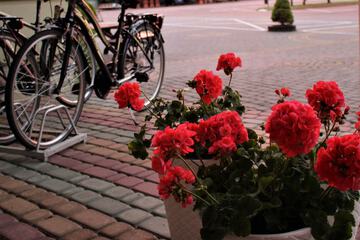 Bicycling