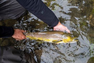 Fishing