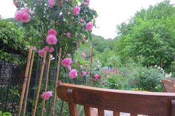 Photo 40