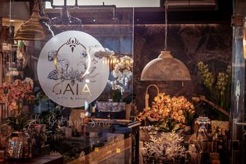 Designer store