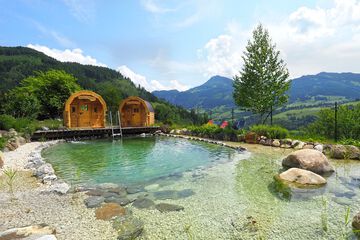 Natural pool