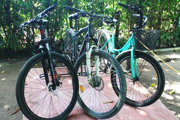 Bicycling