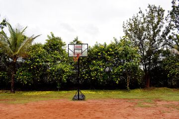 Basketball court