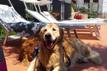 Pet-friendly