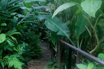 Photo 29