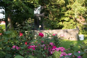 Garden view