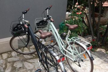 Photo 51