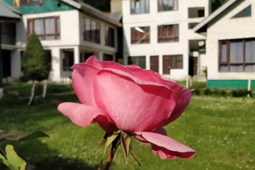 outside