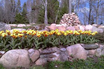 Photo 27