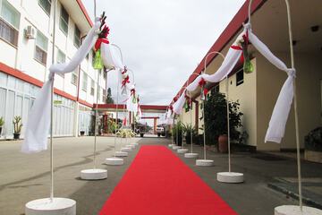 Outdoor wedding area