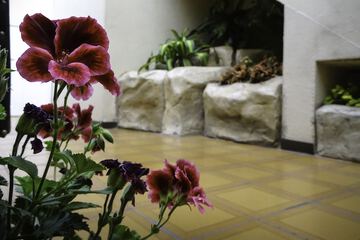 Interior detail