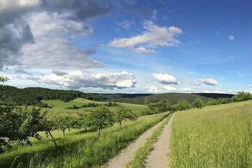 Hiking