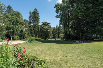 BBQ/picnic area