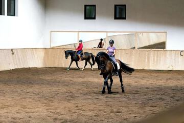 Horseback riding
