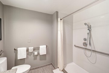 Bathroom shower