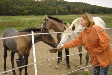 Horseback riding