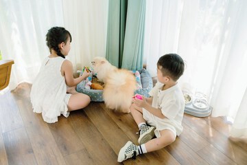 Pet-friendly amenities