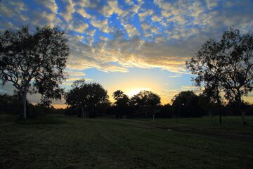 Park view