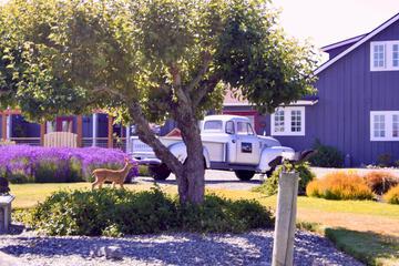 Photo 43