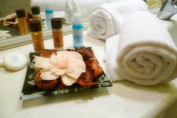 Bathroom amenities