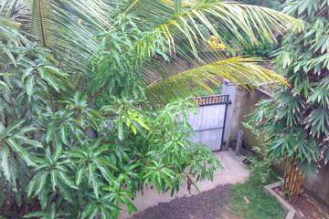 Photo 34