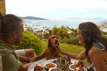 Pet-friendly