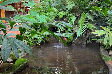 Fountain