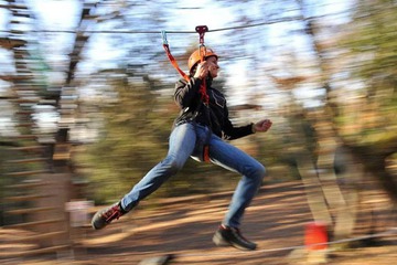 Ropes course (team building)