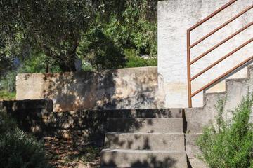 Photo 56