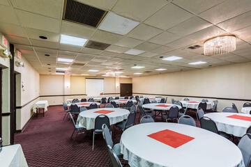 Conferences